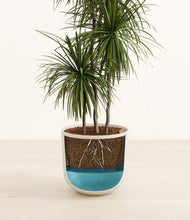 Load image into Gallery viewer, Natural Bamboo