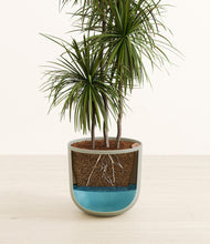 Load image into Gallery viewer, Sage Green