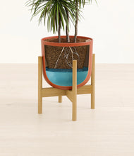 Load image into Gallery viewer, Earth Red stand:bamboo