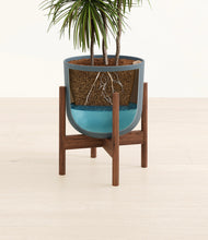 Load image into Gallery viewer, Iron Gray stand:walnut