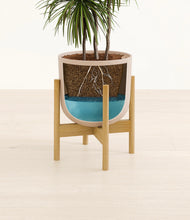 Load image into Gallery viewer, Sandy Pink stand:bamboo