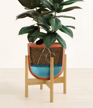Load image into Gallery viewer, Earth Red stand:bamboo