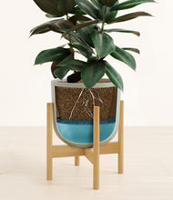 Load image into Gallery viewer, Sage Green stand:bamboo