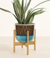 Load image into Gallery viewer, Sage Green stand:bamboo
