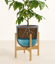 Load image into Gallery viewer, Iron Gray stand:bamboo