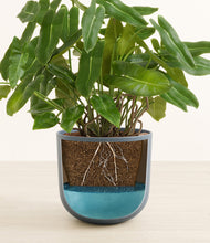 Load image into Gallery viewer, Iron Gray