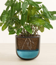 Load image into Gallery viewer, Stone Black