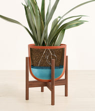 Load image into Gallery viewer, Earth Red stand:walnut