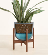 Load image into Gallery viewer, Iron Gray stand:walnut