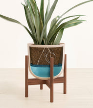 Load image into Gallery viewer, Sandy Pink stand:walnut