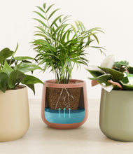 Load image into Gallery viewer, Lily Pad