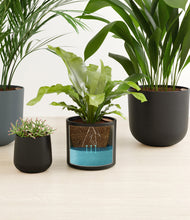 Load image into Gallery viewer, Charcoal