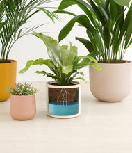 Load image into Gallery viewer, Evening Sky