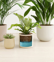 Load image into Gallery viewer, Sandy