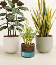 Load image into Gallery viewer, Countryside