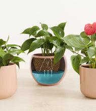 Load image into Gallery viewer, Trio of Hearts