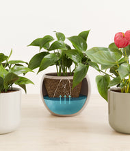 Load image into Gallery viewer, Calm Clay