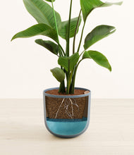 Load image into Gallery viewer, Iron Gray