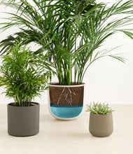 Load image into Gallery viewer, Woodland