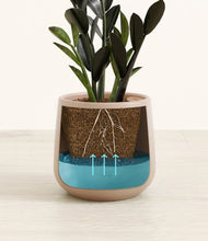 Load image into Gallery viewer, Eternal Gray