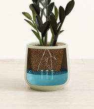 Load image into Gallery viewer, Turquoise