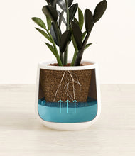 Load image into Gallery viewer, White