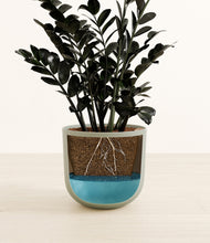 Load image into Gallery viewer, Sage Green