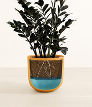 Load image into Gallery viewer, Sunset Orange