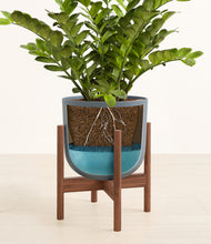 Load image into Gallery viewer, Iron Gray stand:walnut