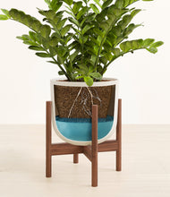 Load image into Gallery viewer, Natural Bamboo stand:walnut