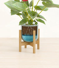 Load image into Gallery viewer, Reactive Aqua stand:bamboo