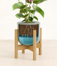 Load image into Gallery viewer, Misty Blue stand:bamboo