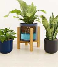 Load image into Gallery viewer, Eclipse stand:light