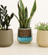 Load image into Gallery viewer, Earthy