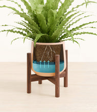 Load image into Gallery viewer, Gentle Pink stand:walnut