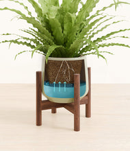 Load image into Gallery viewer, Turquoise stand:walnut