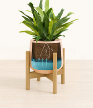 Load image into Gallery viewer, Gentle Pink stand:bamboo