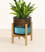 Load image into Gallery viewer, Black stand:bamboo