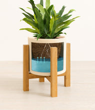 Load image into Gallery viewer, Cream stand:light