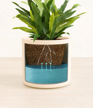 Load image into Gallery viewer, Cream