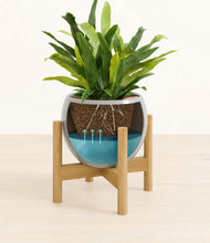 Load image into Gallery viewer, Deep Ocean stand:bamboo