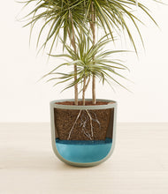 Load image into Gallery viewer, Sage Green