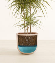 Load image into Gallery viewer, Sandy Pink