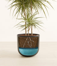 Load image into Gallery viewer, Stone Black