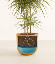 Load image into Gallery viewer, Sunset Orange