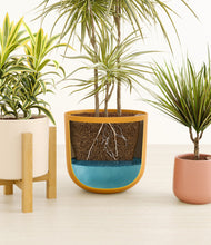 Load image into Gallery viewer, Evening Sky