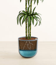 Load image into Gallery viewer, Iron Gray