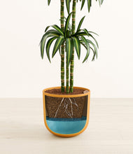 Load image into Gallery viewer, Sunset Orange