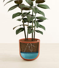 Load image into Gallery viewer, Earth Red