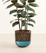 Load image into Gallery viewer, Stone Black